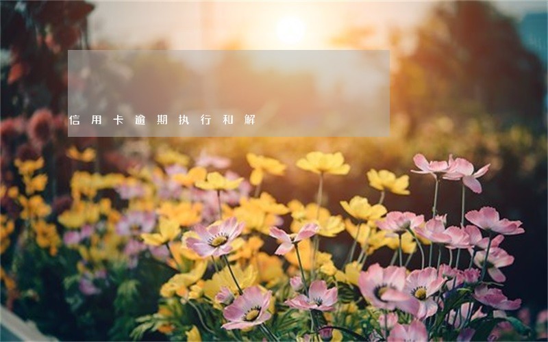 信用卡逾期执行和解 信用卡逾期执行和解