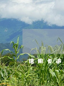 信用卡逾期执行局 信用卡逾期执行局