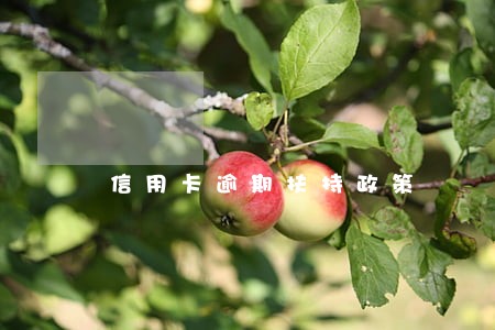 信用卡逾期扶持政策