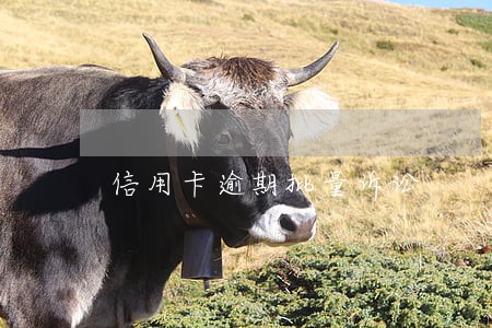 信用卡逾期批量诉讼 信用卡逾期批量诉讼
