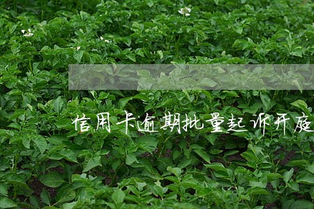 信用卡逾期批量起诉开庭流程 信用卡逾期批量起诉开庭流程