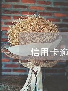 信用卡逾期找不到记录