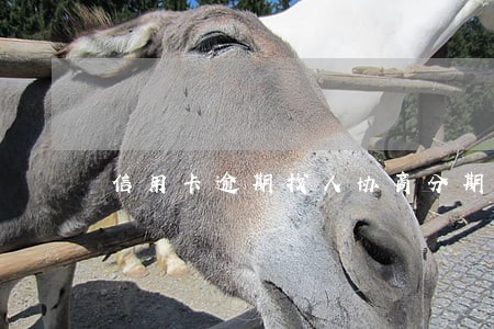 信用卡逾期找人协商分期 信用卡逾期找人协商分期