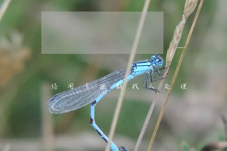 信用卡逾期找人处理 信用卡逾期找人处理