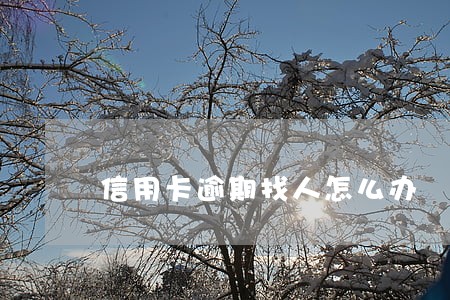 信用卡逾期找人怎么办 信用卡逾期找人怎么办