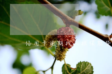 信用卡逾期找人担保能贷款吗 信用卡逾期找人担保能贷款吗