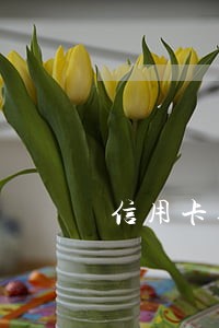 信用卡逾期找人民银行有用吗 信用卡逾期找人民银行有用吗