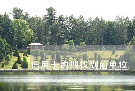 信用卡逾期找到前单位 信用卡逾期找到前单位