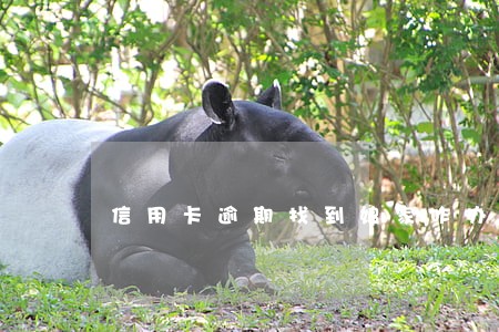 信用卡逾期找到娘家咋办