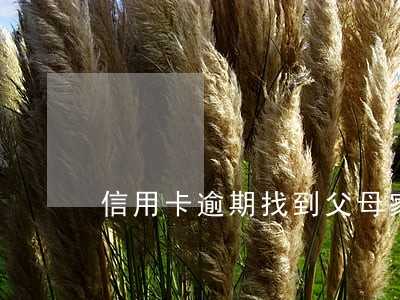 信用卡逾期找到父母家怎么处理 信用卡逾期找到父母家怎么处理