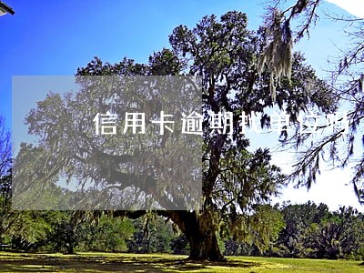 信用卡逾期找单位吗 信用卡逾期找单位吗