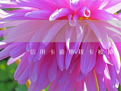 信用卡逾期找卡被锁