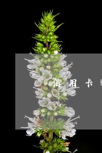 信用卡逾期找哪些律师团队 信用卡逾期找哪些律师团队