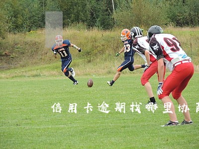信用卡逾期找哪里协商 信用卡逾期找哪里协商