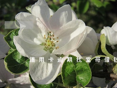 信用卡逾期找堂哥借钱会借吗 信用卡逾期找堂哥借钱会借吗