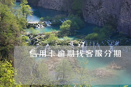 信用卡逾期找客服分期