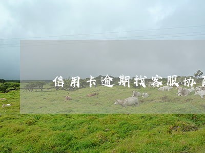 信用卡逾期找客服协商减免 信用卡逾期找客服协商减免