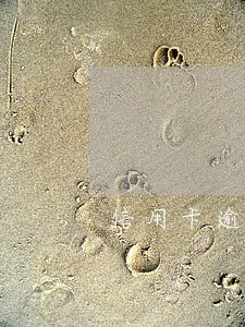 信用卡逾期找小额贷款 信用卡逾期找小额贷款