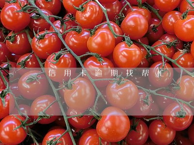信用卡逾期找帮忙 信用卡逾期找帮忙