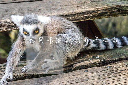 信用卡逾期找开卡人吗