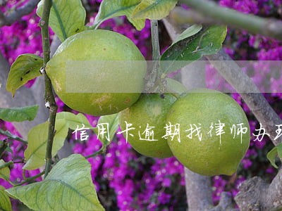 信用卡逾期找律师办理分期可靠吗 信用卡逾期找律师办理分期可靠吗