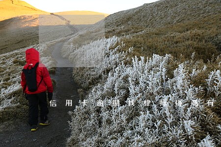 信用卡逾期找律师协商有效吗 信用卡逾期找律师协商有效吗