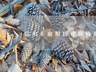 信用卡逾期找律师协商靠谱么 信用卡逾期找律师协商靠谱么