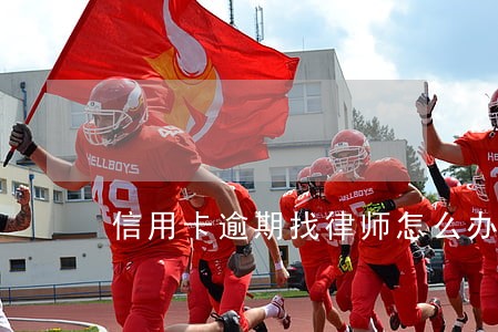 信用卡逾期找律师怎么办 信用卡逾期找律师怎么办