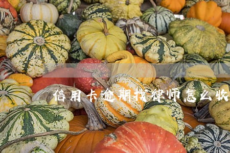 信用卡逾期找律师怎么收费 信用卡逾期找律师怎么收费