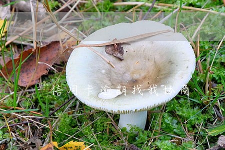 信用卡逾期找我协商
