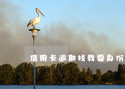 信用卡逾期找我要身份证照片 信用卡逾期找我要身份证照片