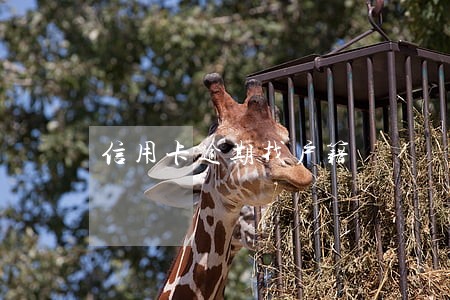 信用卡逾期找户籍 信用卡逾期找户籍