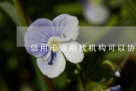 信用卡逾期找机构可以协商吗 信用卡逾期找机构可以协商吗