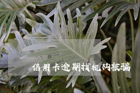 信用卡逾期找机构被骗 信用卡逾期找机构被骗