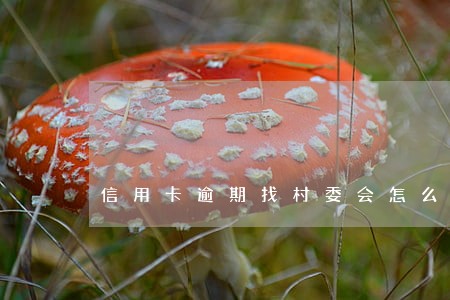 信用卡逾期找村委会怎么处理