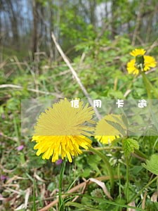 信用卡逾期找法务处理怎么收费