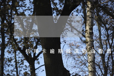 信用卡逾期找法协商靠谱吗 信用卡逾期找法协商靠谱吗