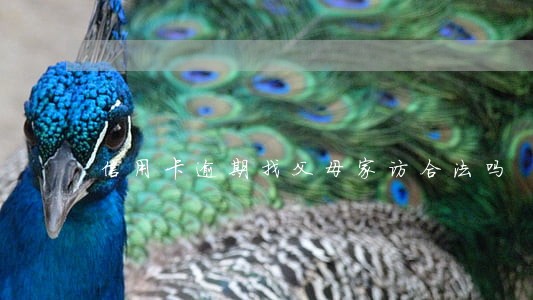 信用卡逾期找父母家访合法吗 信用卡逾期找父母家访合法吗
