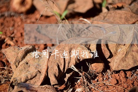 信用卡逾期找谁