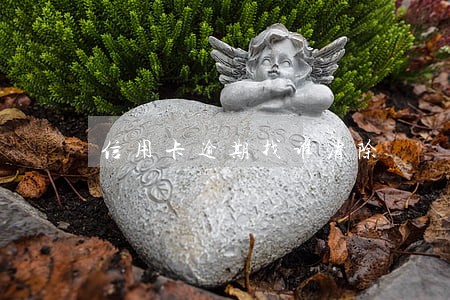 信用卡逾期找谁消除