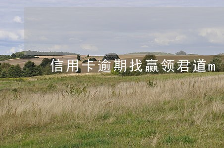 信用卡逾期找赢领君道m
