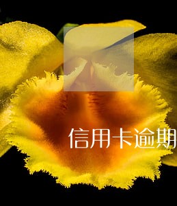信用卡逾期找配偶单位合法吗 信用卡逾期找配偶单位合法吗