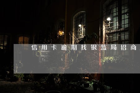 信用卡逾期找银监局招商