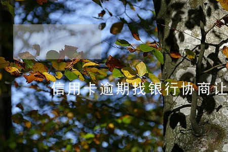 信用卡逾期找银行协商让找第三方 信用卡逾期找银行协商让找第三方