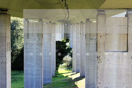 信用卡逾期找银行哪个部门