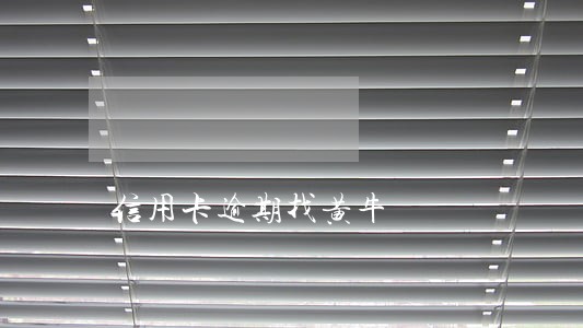 信用卡逾期找黄牛 信用卡逾期找黄牛