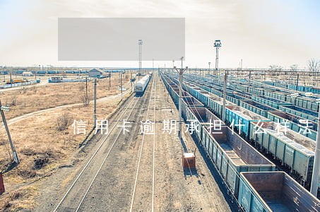 信用卡逾期承担什么样法律后果 信用卡逾期承担什么样法律后果