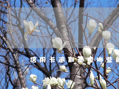 信用卡逾期承担哪些民事责任 信用卡逾期承担哪些民事责任