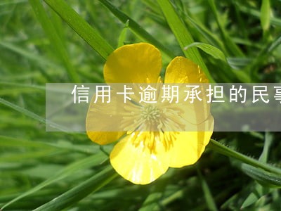 信用卡逾期承担的民事责任 信用卡逾期承担的民事责任