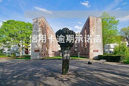信用卡逾期承诺函 信用卡逾期承诺函